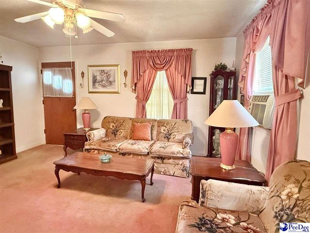 246 E Shirley Road, Pamplico, SC 29583