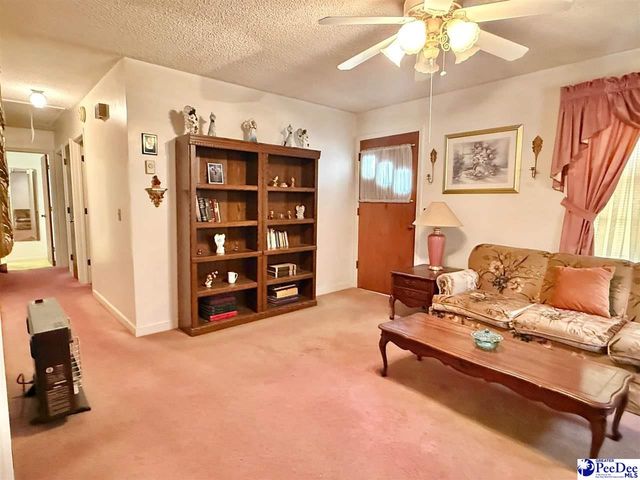 246 E Shirley Road, Pamplico, SC 29583