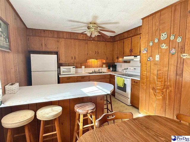 246 E Shirley Road, Pamplico, SC 29583