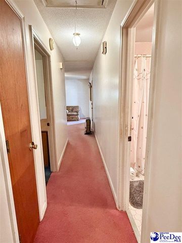 246 E Shirley Road, Pamplico, SC 29583