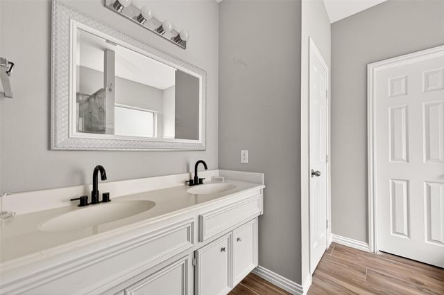 25507 Lyon Springs Court, Spring, TX 77373