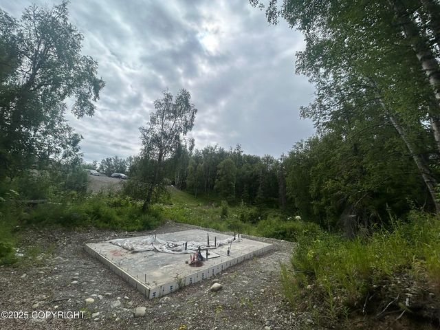 8752 E Snowbird Circle, Palmer, AK 99645