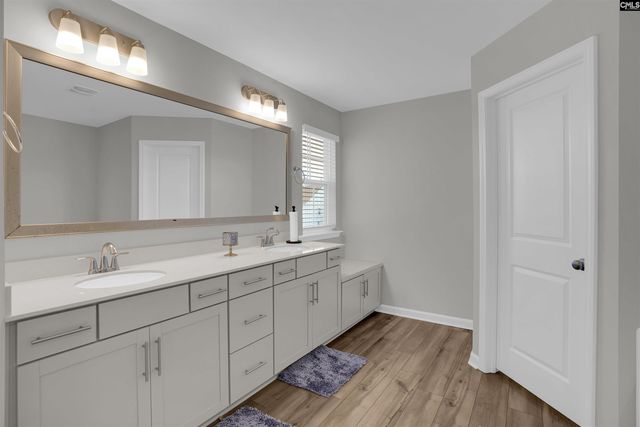 2921 Red Eagle Place, Lexington, SC 29073