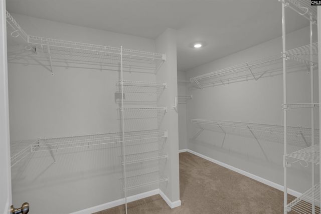 2921 Red Eagle Place, Lexington, SC 29073