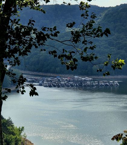 331 Shiloh Ln, Smithville, TN 37166