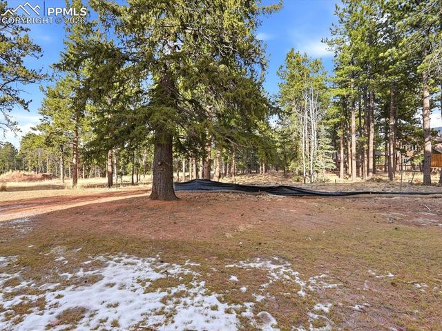 1308 Stone Ridge Drive, Woodland Park, CO 80863