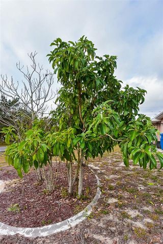 3467 EVERETT AVENUE, Spring Hill, FL 34609