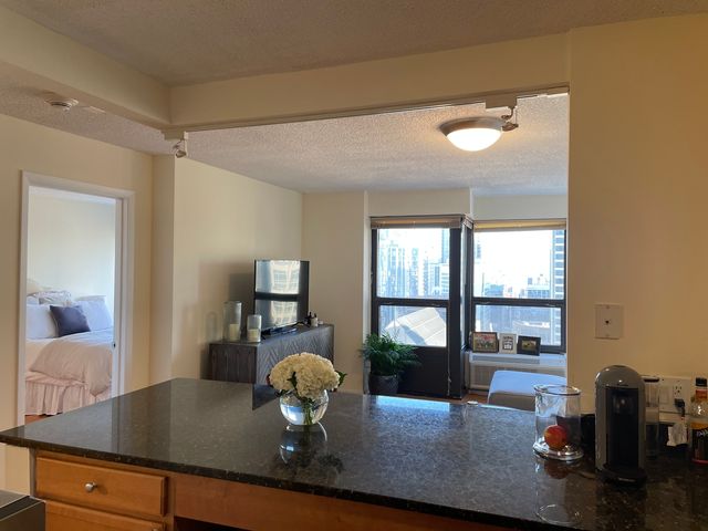 30 E Huron Street 3508, Chicago, IL 60611