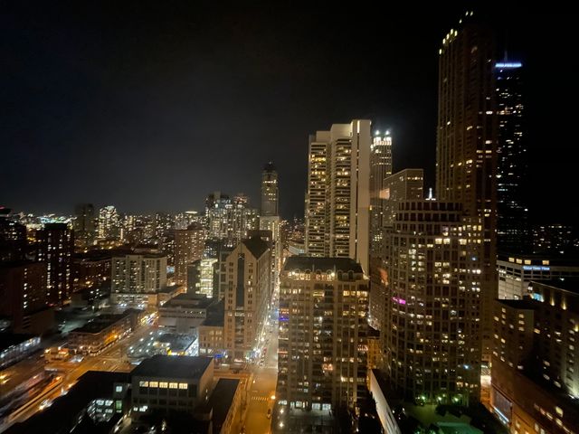 30 E Huron Street 3508, Chicago, IL 60611
