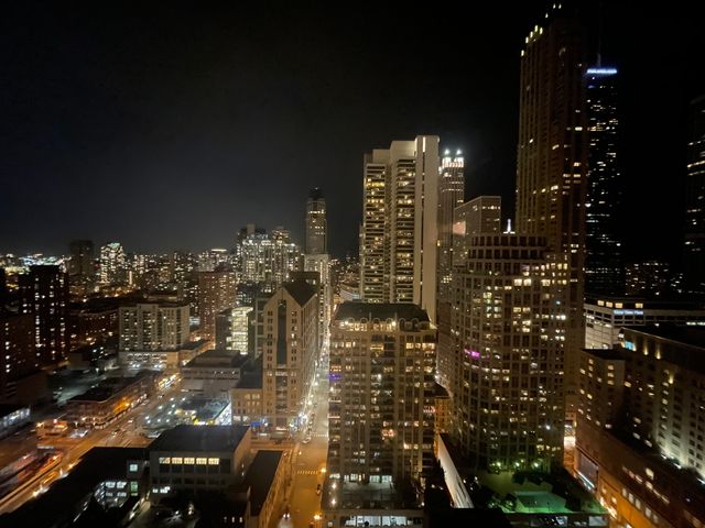 30 E Huron Street 3508, Chicago, IL 60611