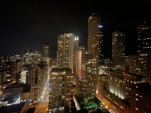 30 E Huron Street 3508, Chicago, IL 60611