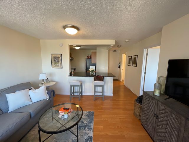 30 E Huron Street 3508, Chicago, IL 60611