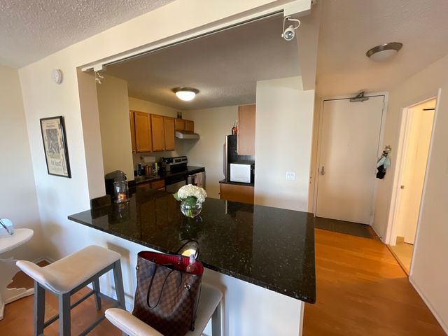 30 E Huron Street 3508, Chicago, IL 60611