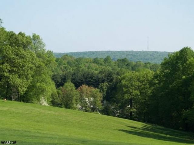 5 Exmoor Dr, Mendham Twp., NJ 07945