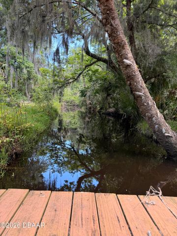 697 Eagle Watch Road, Oak Hill, FL 32759