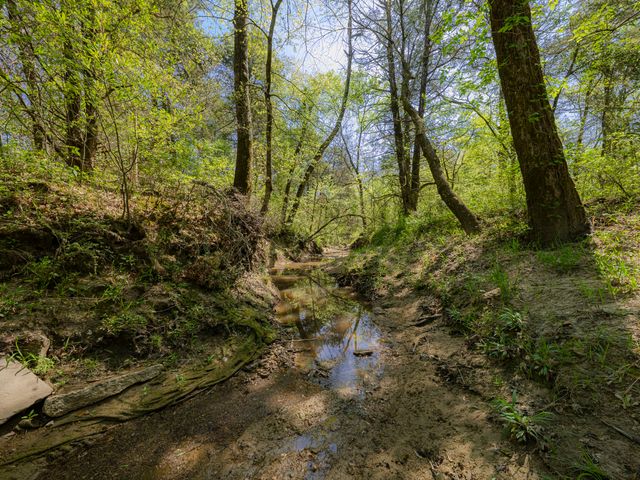 0 County Road 3306, Greenville, TX 75401