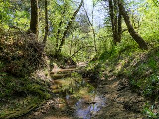 0 County Road 3306, Greenville, TX 75401