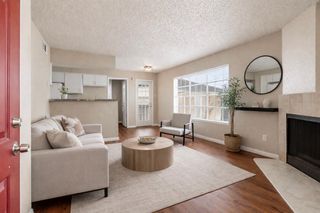 2750 Holly Hall Street 506, Houston, TX 77054