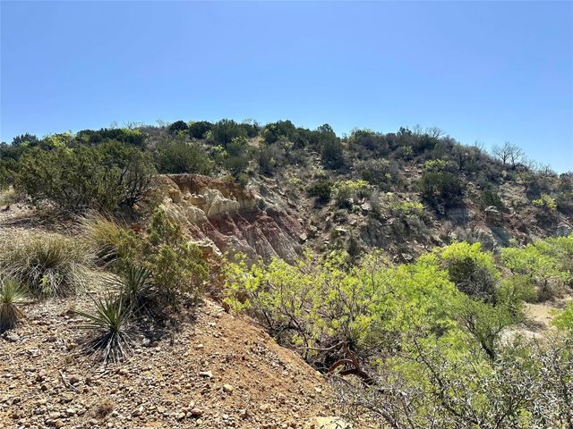 2200 Fm 2822, Rochelle, TX 76872