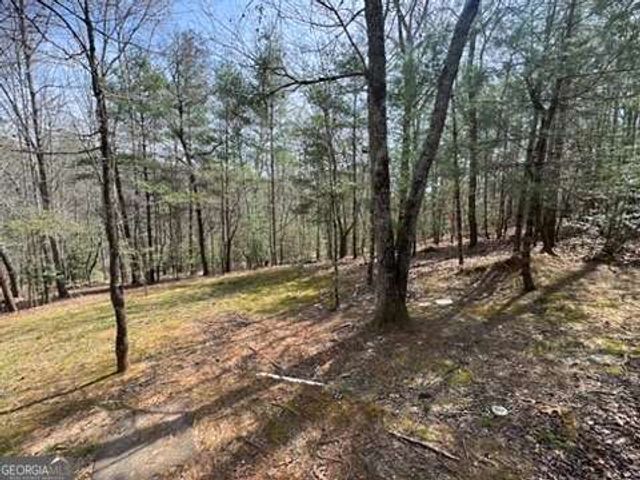 22 & 26 A O Lane, Morganton, GA 30560