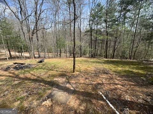 22 & 26 A O Lane, Morganton, GA 30560