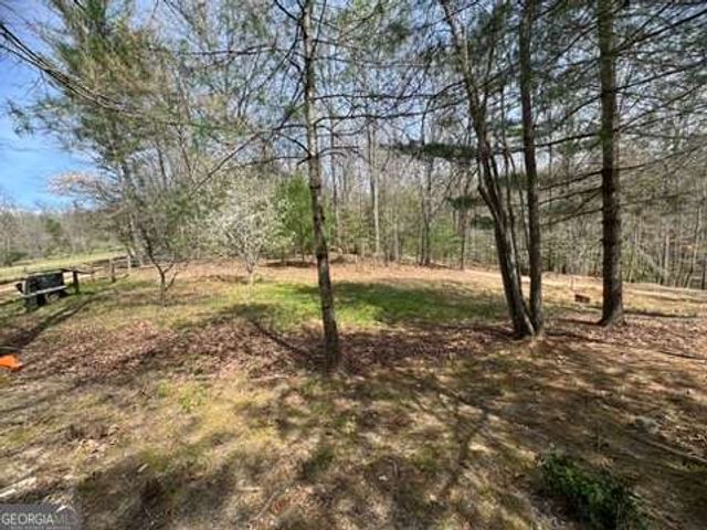 22 & 26 A O Lane, Morganton, GA 30560