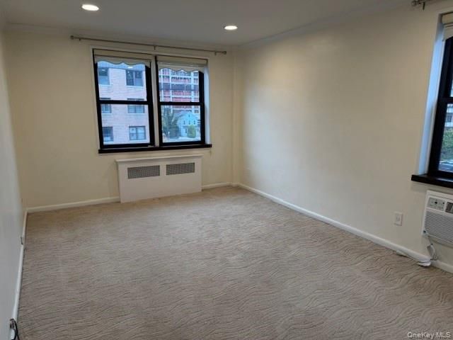 3 Birchwood Court 4M, Mineola, NY 11501