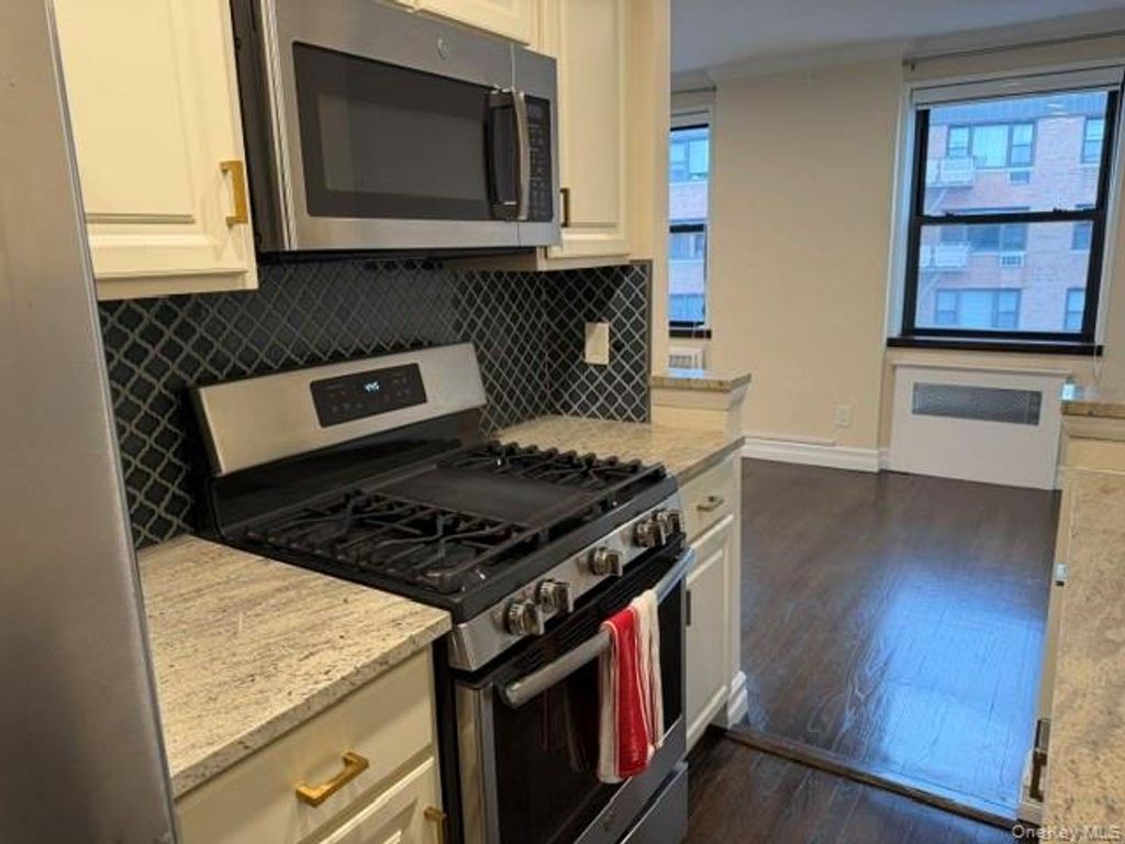 3 Birchwood Court 4M, Mineola, NY 11501 — photo 5