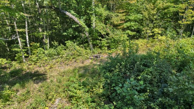 0 Wet Mill Creek Rd, Celina, TN 38551