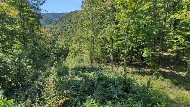 0 Wet Mill Creek Rd, Celina, TN 38551