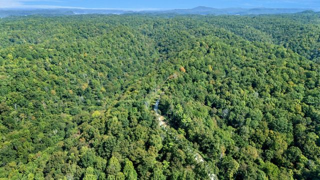 0 Wet Mill Creek Rd, Celina, TN 38551