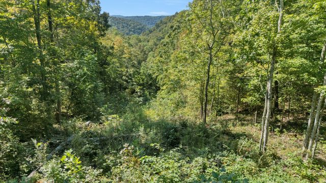 0 Wet Mill Creek Rd, Celina, TN 38551