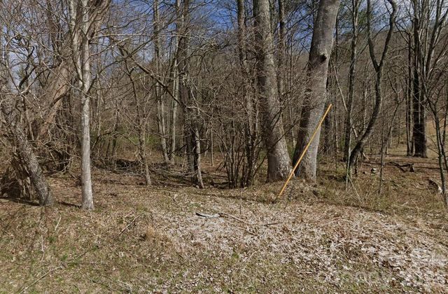 0 Flagstaff Drive, Sylva, NC 28779
