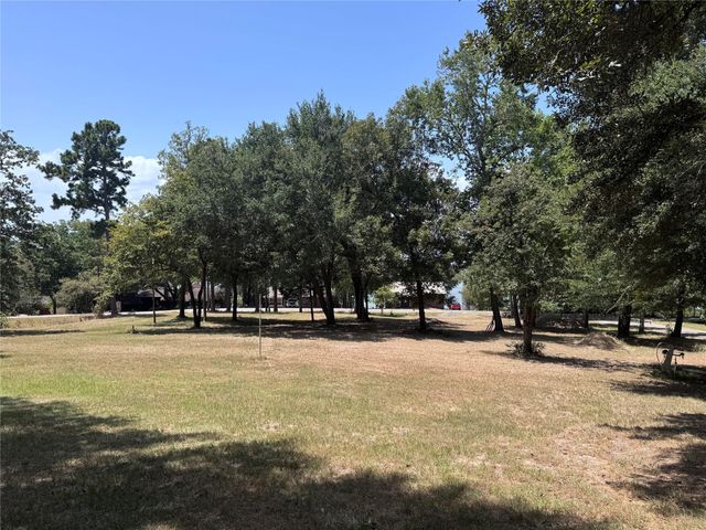 445 Loop Drive, Livingston, TX 77351