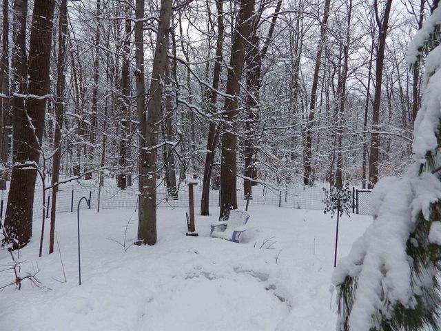 1137 Reads Run Run, Long Lake Twp, MI 49685