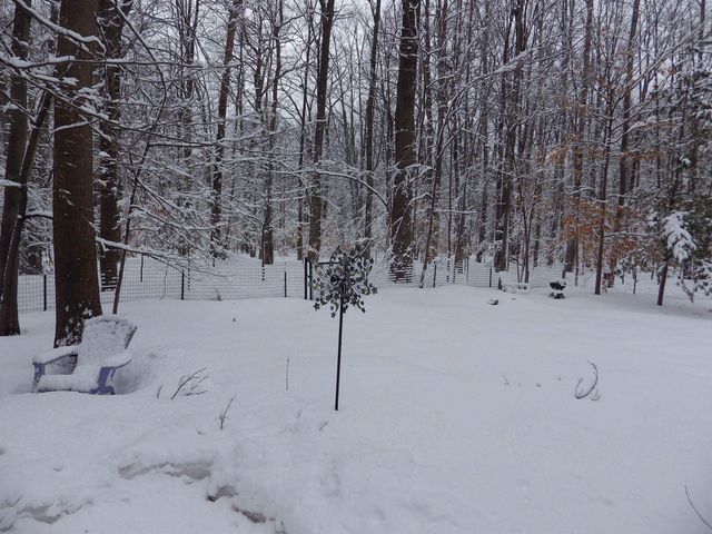 1137 Reads Run Run, Long Lake Twp, MI 49685