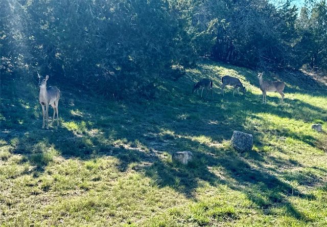 22122 Moulin DR, Spicewood, TX 78669