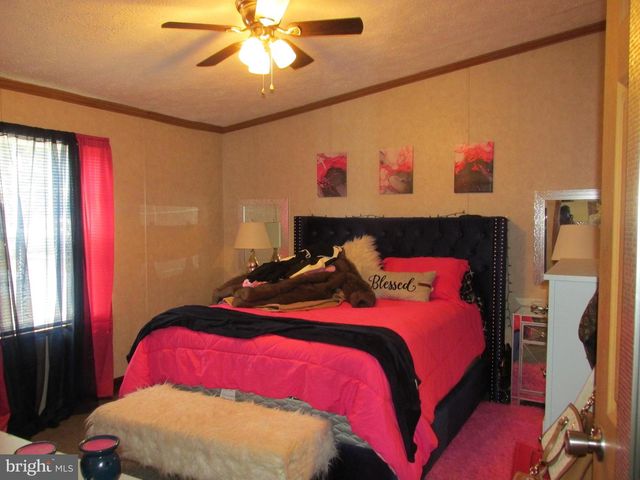 6539 CABIN RIDGE RD, Hurlock, MD 21643