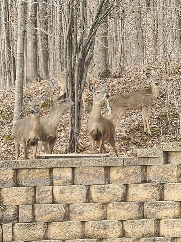 4008 Ridge ROAD, Kewaskum, WI 53040