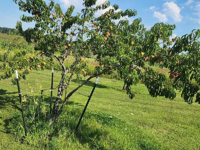 4008 Ridge ROAD, Kewaskum, WI 53040