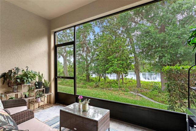 14110 DAMSELFLY DRIVE, Tampa, FL 33625