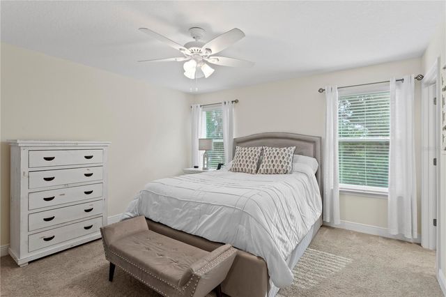 14110 DAMSELFLY DRIVE, Tampa, FL 33625