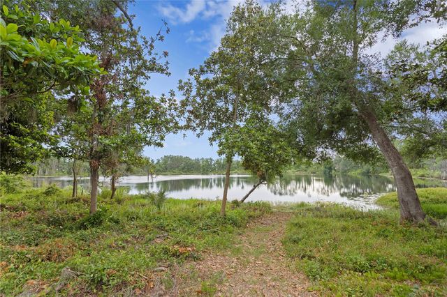 14110 DAMSELFLY DRIVE, Tampa, FL 33625