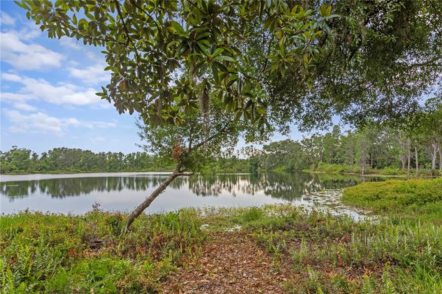 14110 DAMSELFLY DRIVE, Tampa, FL 33625