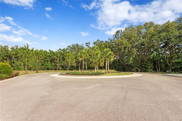 14110 DAMSELFLY DRIVE, Tampa, FL 33625