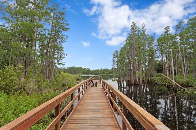 14110 DAMSELFLY DRIVE, Tampa, FL 33625