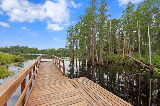 14110 DAMSELFLY DRIVE, Tampa, FL 33625