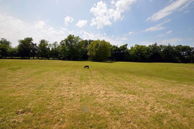 5913 Farm Road 1528, Klondike, TX 75448