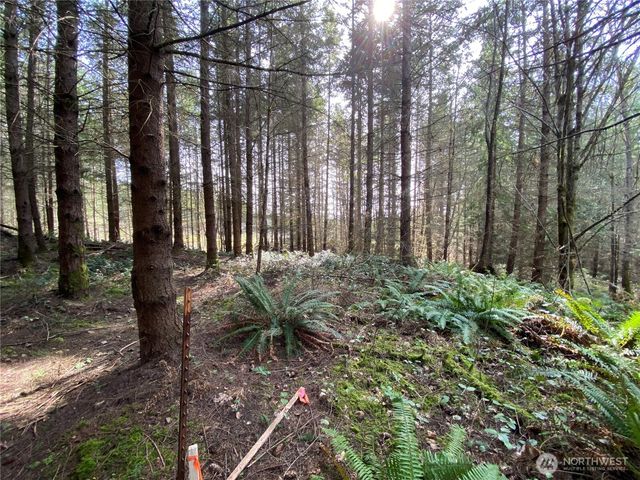 0 250th Ave E, Orting, WA 98360