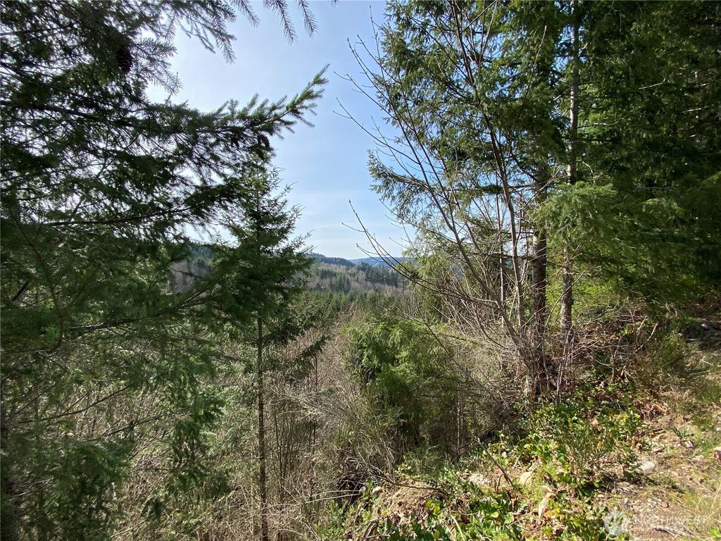 0 250th Ave E, Orting, WA 98360